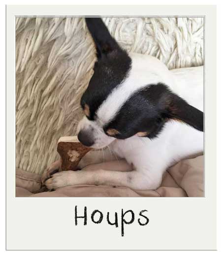 Houps